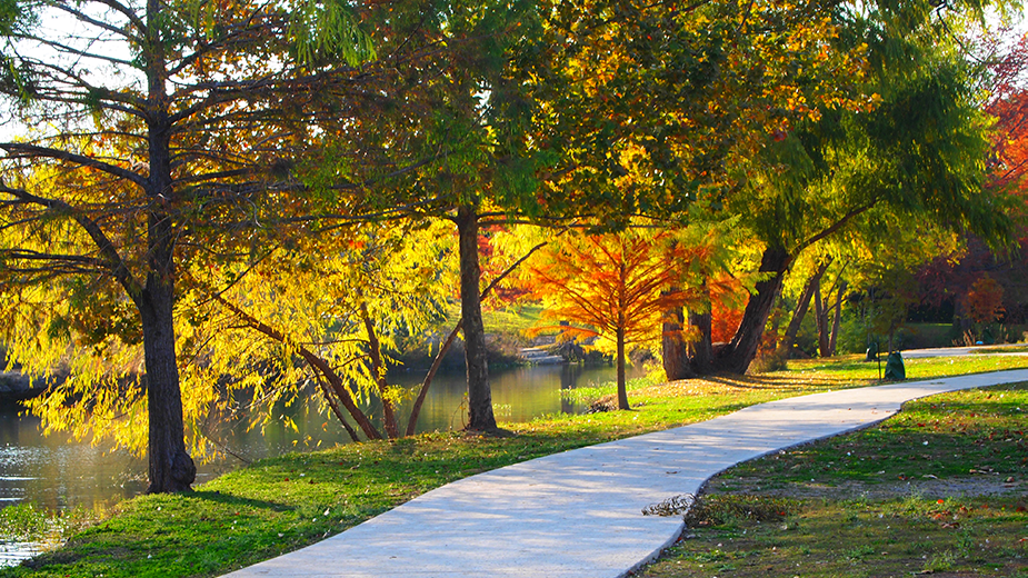 Document at The Kendall, Boerne TX